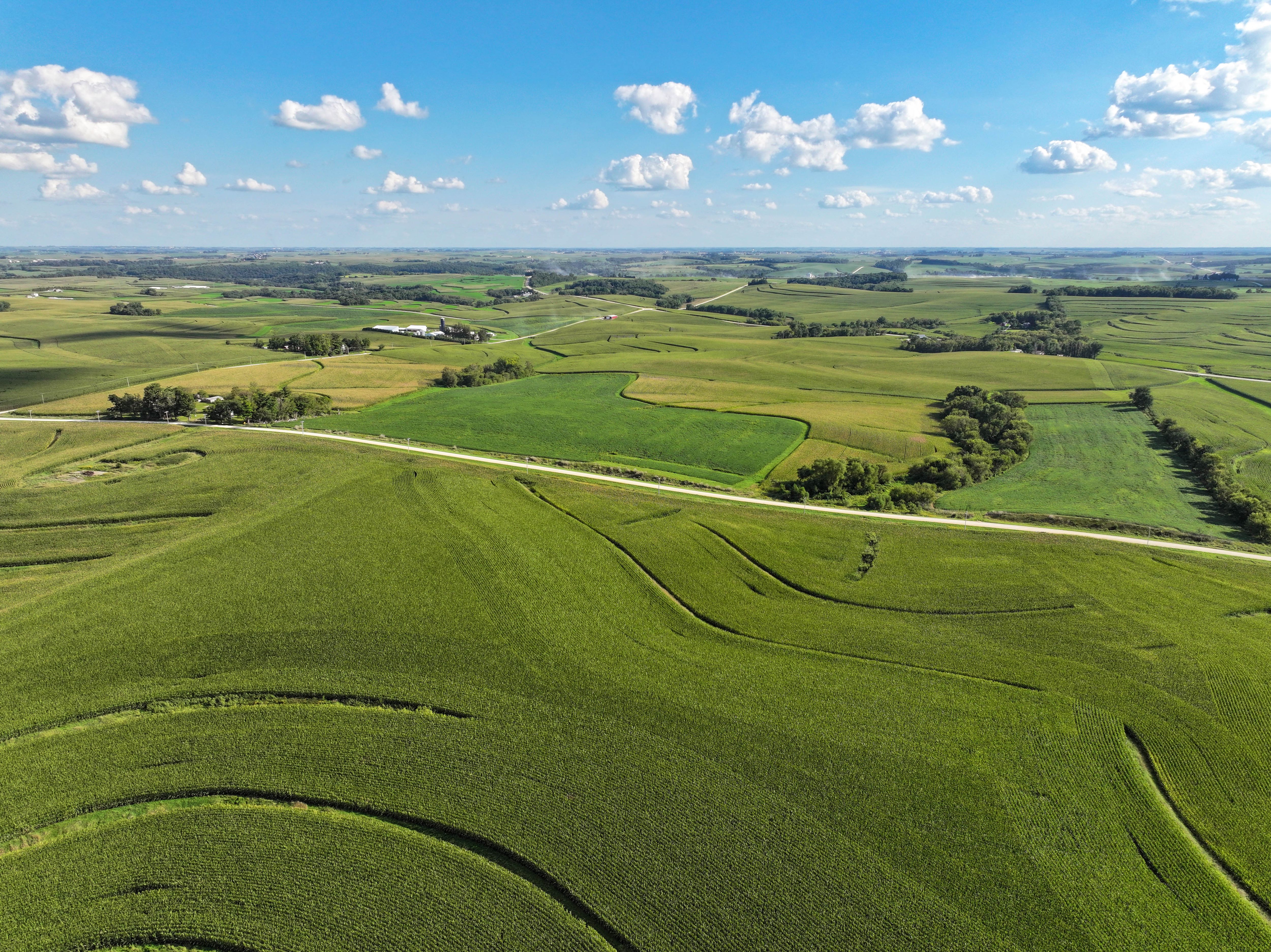 Listing Photo: 4-Allamakee Co Land Auction
